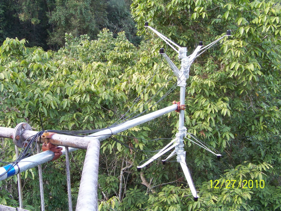 热带季节雨林林冠上方设置的单点NDVI测定装置